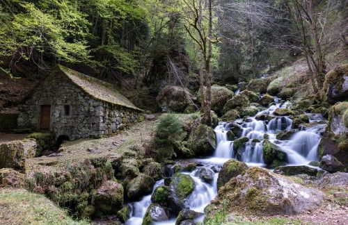 Résidence récente au Lioran à proximité des remontées mécaniques - Photo 28