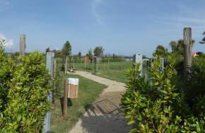 Rosa Dei Venti - Foto 55