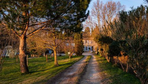 gîte du Pigeonnier Mas Médaille - Foto 1, Garden