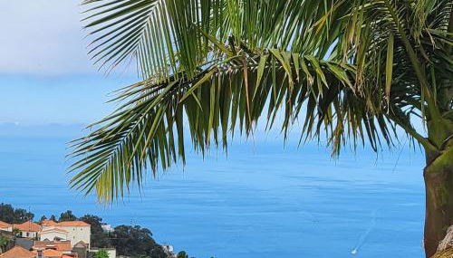 Boutique Chalet in Calheta - Foto 2