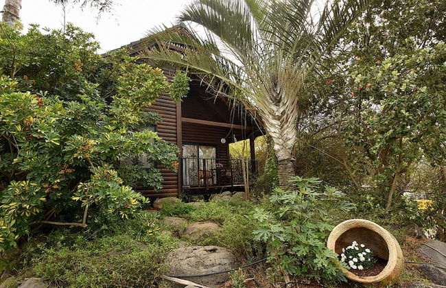 Tuscana cabins - Foto 26