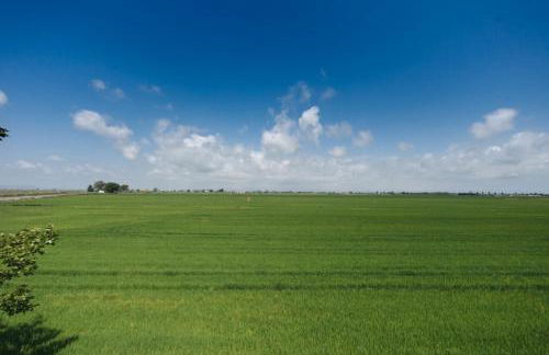 Salicornia apartament - Foto 14