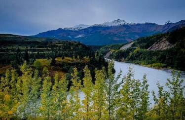 Northern Lights Log House w/ Sauna - Foto 62
