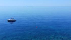 Apartments Bisko - Foto 3