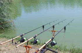 Agriturismo La Terrazza - Photo 63