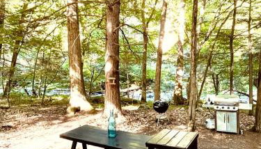 Romantic Glamping Getaway in a Pet Friendly Caravan, Ideal to Explore Hudson Valley - Foto 4