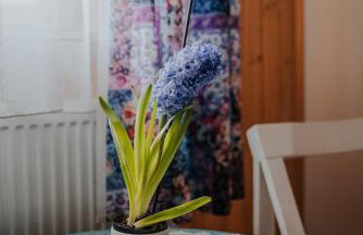 Dom Gościnny Sowia Stópka - Foto 43