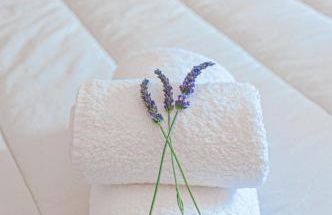 Mas de l'Olivier - Enclave des Papes - Visan - 8 couchages - Foto 38