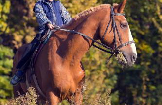 La Borda del Zarrastiecho - Foto 20
