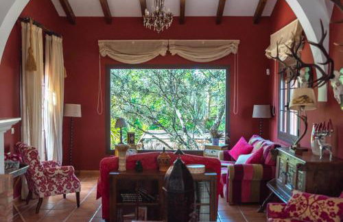 La Jacaranda - Foto 7