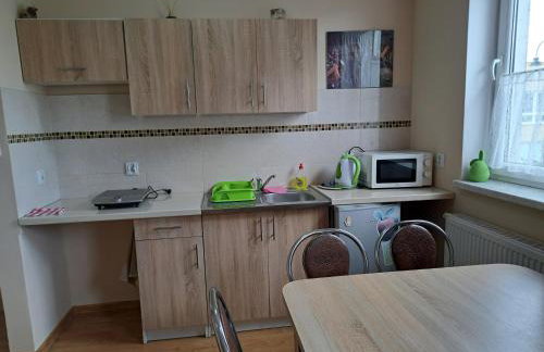 Apartament Borowiacki - Foto 7