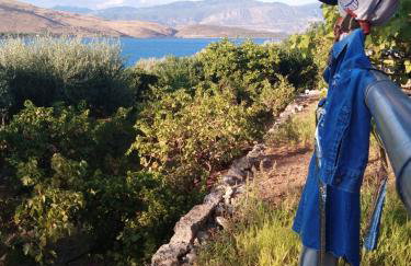 Aphrodite's Coast Retreat House! - Photo 51