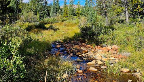 Moose Mtn Lodge/Luxury Cabin/Hot Tub/Fireplace - Foto 4