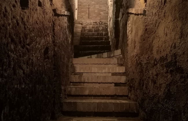 Tenuta S. Agnese - Photo 39