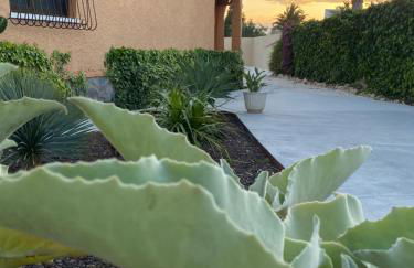 Laguna del Flamenco - Foto 16