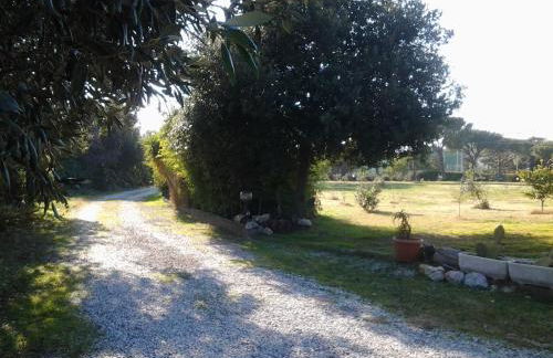 Appartamento In Villa Di Judighes - Foto 35