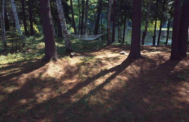 Sunset Chalet-amazing Views Private hot tub - Photo 27