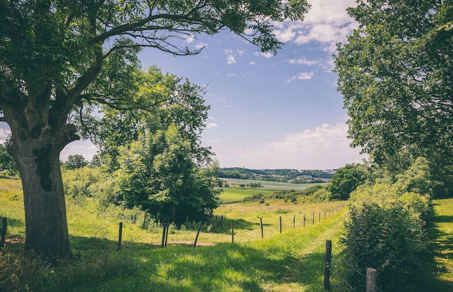 Well-kept Bungalow With Microwave Near Valkenburg - Photo 20
