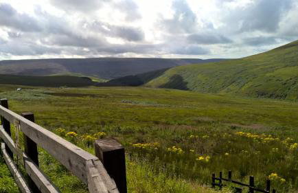 Millrace Cottage - Foto 26