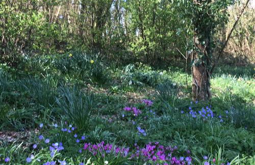 Penarvon House - Stunning Waterfront Escape with Games Room - Foto 47