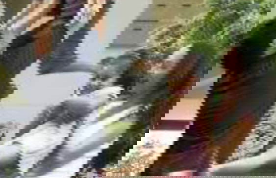 Makati CBD Resort 2 bedroom - Foto 22