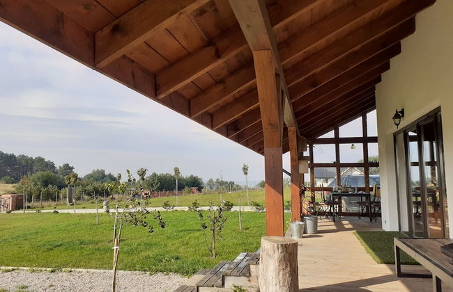 Ptasia Osada - Photo 46