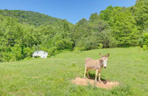 Mtn Views and Epic Sunsets Private Weaverville Home - Foto 32