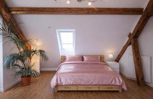 Exklusive Penthouse Wohnung, nahe zur Schweiz DA VINCI - Foto 7