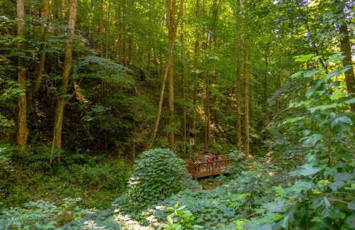 Mountain Top Retreat - Foto 45