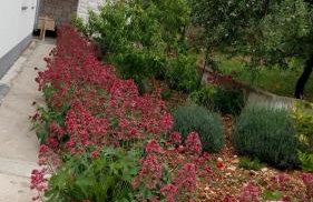 Apartment Villa Octopus - Foto 21