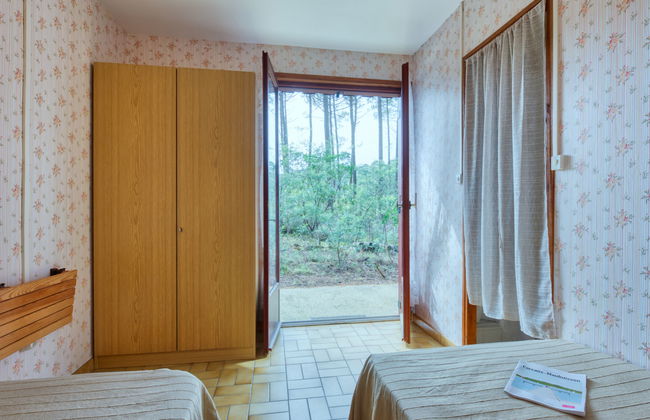 Les Sylvaines - Foto 17