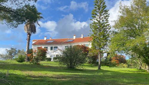 Quinta Vale da Paz - Foto 4, Garden