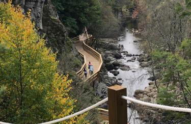 Douro - A Casinha da Ana - Photo 33