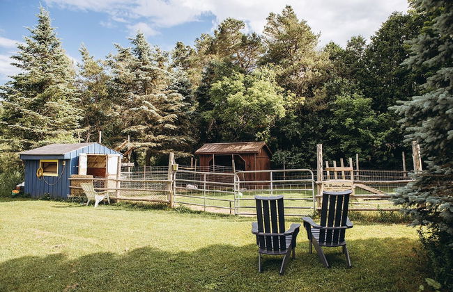 Dreamers Writing Farm - Foto 68