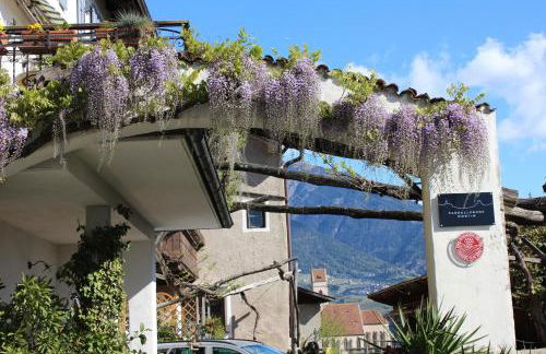 Weingut Pardellerhof - Foto 26