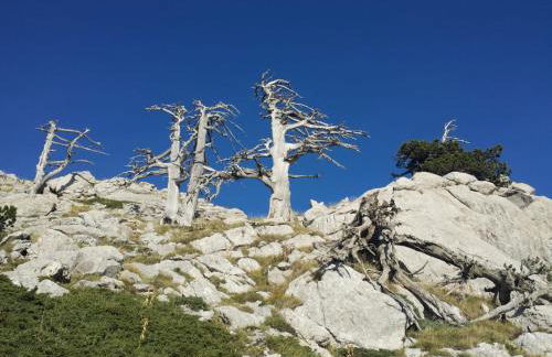 Tana Libera Tutti 2 Nature, Yourself, Love - Foto 37