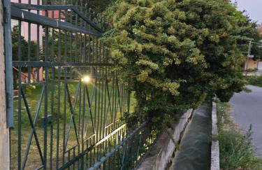 Hillside View Home - Photo 23