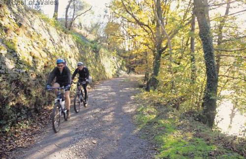 2 Bed in Porthmadog oc-82928 - Photo 28