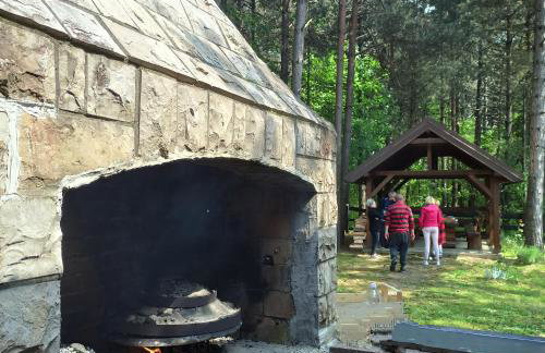 Plitvice Lakes Holiday Lodge - Foto 43