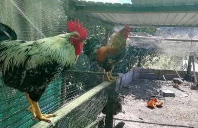 My Portugal for All - Lousada Villa - Foto 54