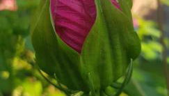 Villa Lidia - Foto 5