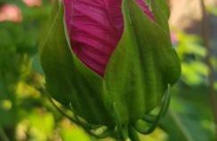 Villa Lidia - Foto 5