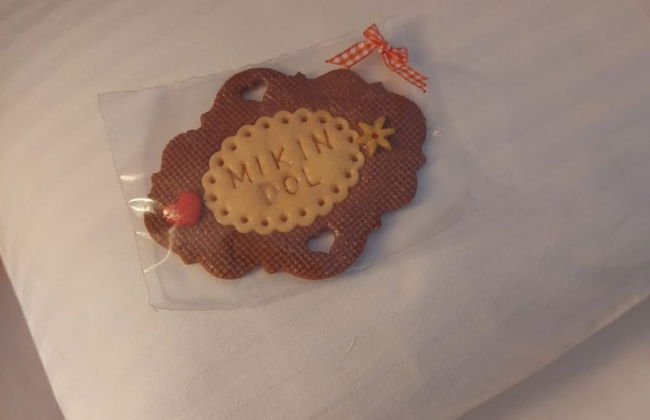 Bogdan - Countryside With hot tub - R2 - Foto 14