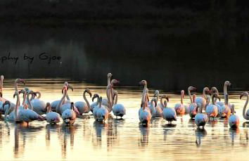 Salentin Home - SunRelax - Foto 28