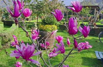 Granny's farm - Foto 21