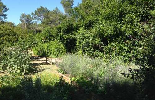 Cabane de la leque - Foto 24