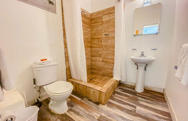 Gladiolas 1206 - Foto 12