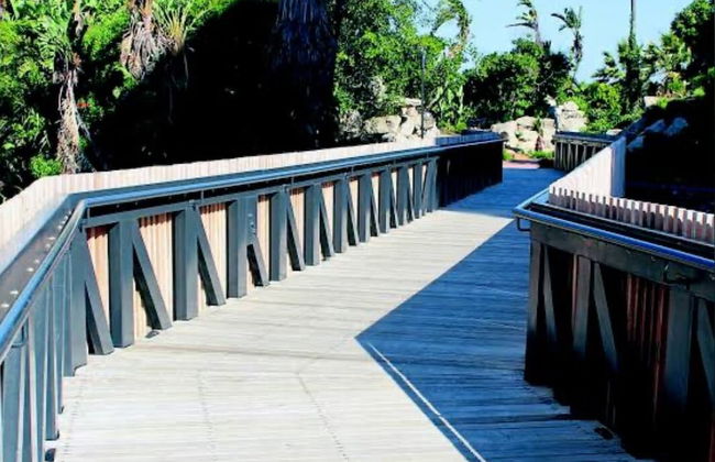 101 Nine palms - Foto 21