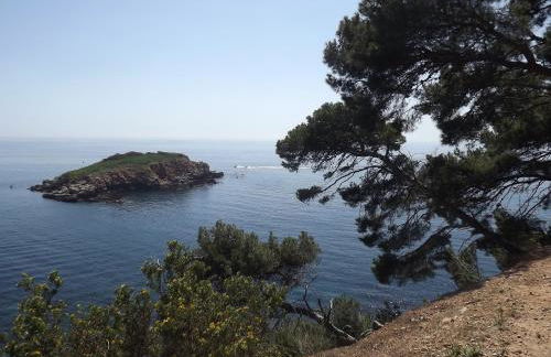 le cytharis - Foto 64