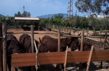 Casa Vacanza Demi - Foto 56